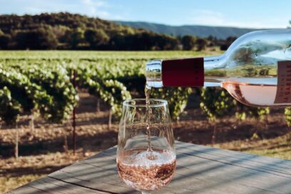 un verre de vin servi devant une vigne - Agrandir l'image, fenêtre modale